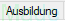 10. Registerkarte Ausbildung